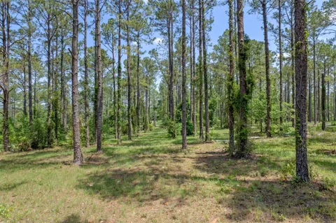 35408 PINEGATE TRAIL