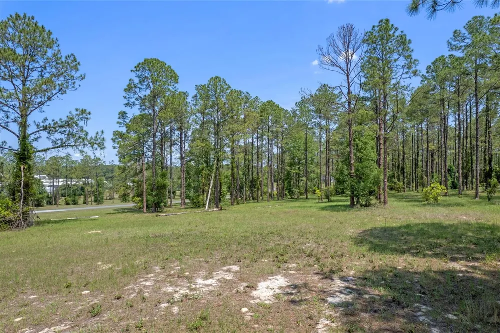35408 PINEGATE TRAIL Eustis, FL 32736
