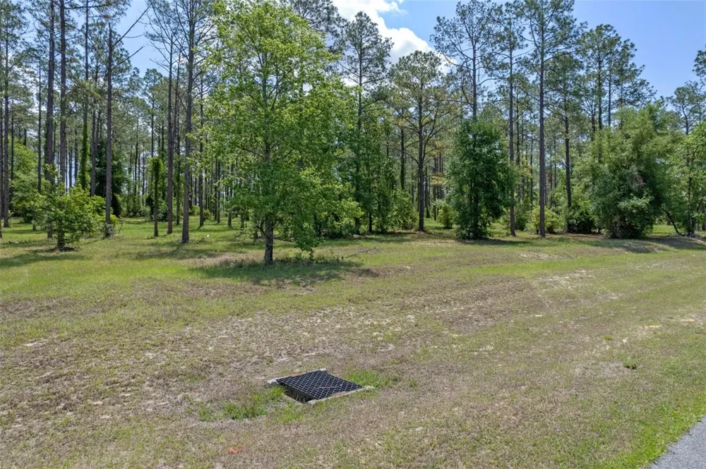 35408 PINEGATE TRAIL Eustis, FL 32736