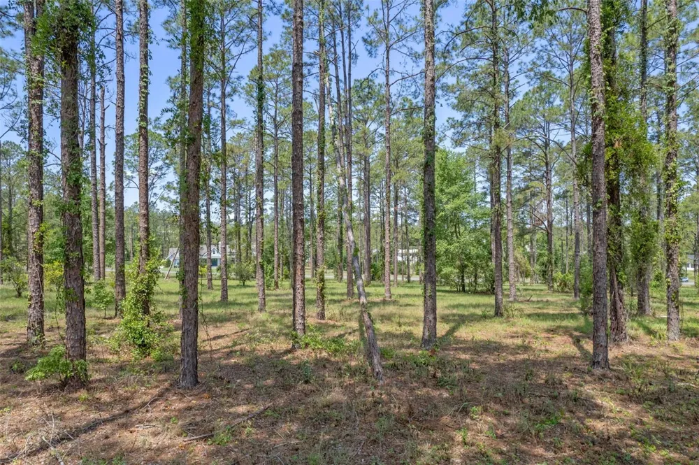 35408 PINEGATE TRAIL Eustis, FL 32736