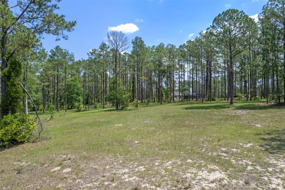 35408 PINEGATE TRAIL Eustis, FL 32736