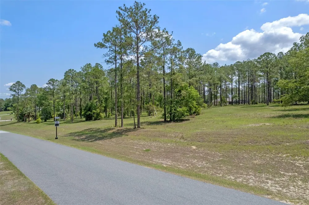 35408 PINEGATE TRAIL Eustis, FL 32736