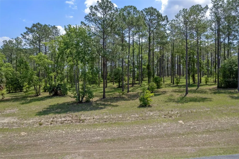 35408 PINEGATE TRAIL Eustis, FL 32736