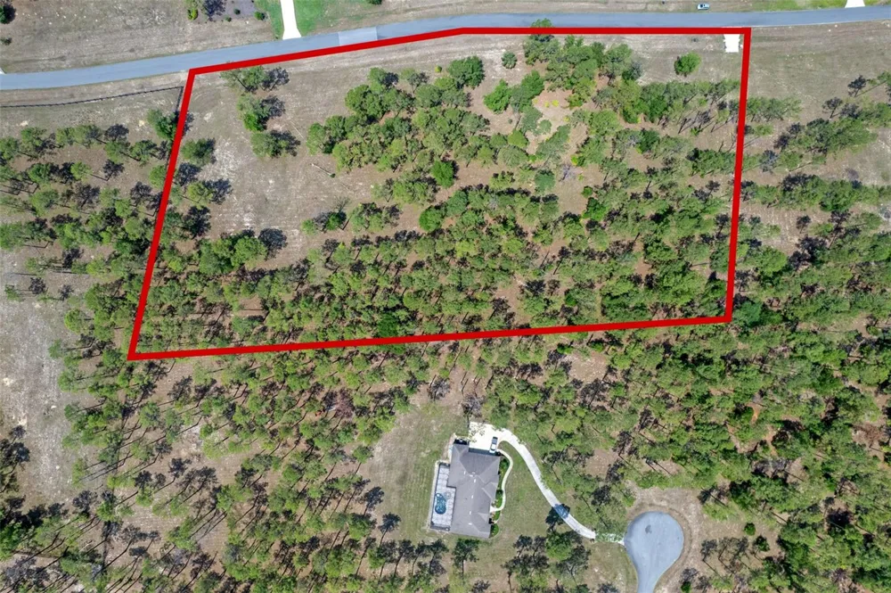 35408 PINEGATE TRAIL Eustis, FL 32736