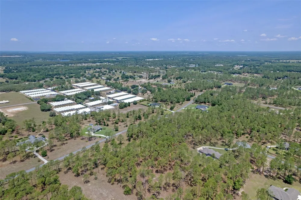 35408 PINEGATE TRAIL Eustis, FL 32736