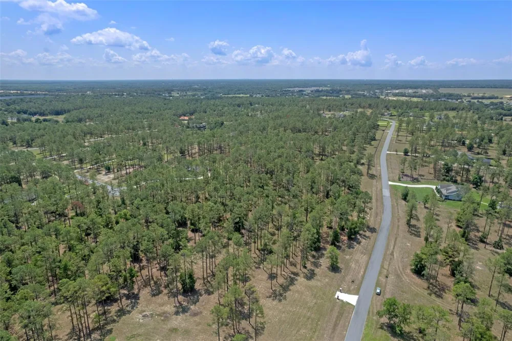 35408 PINEGATE TRAIL Eustis, FL 32736