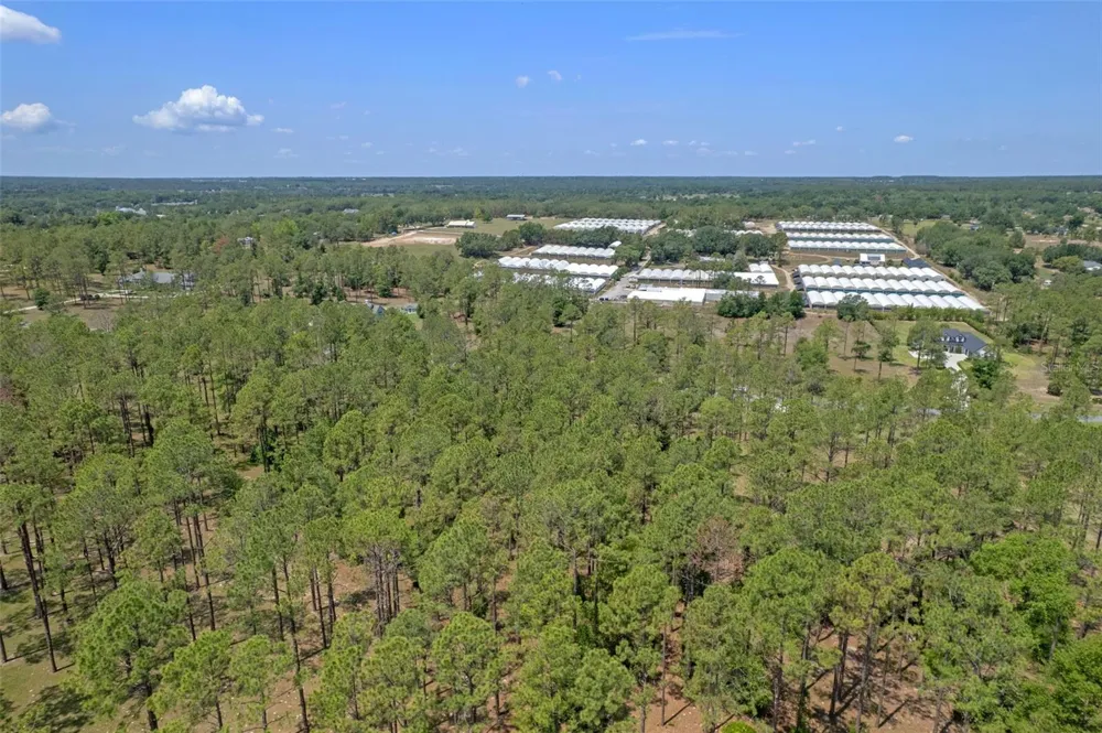 35408 PINEGATE TRAIL Eustis, FL 32736