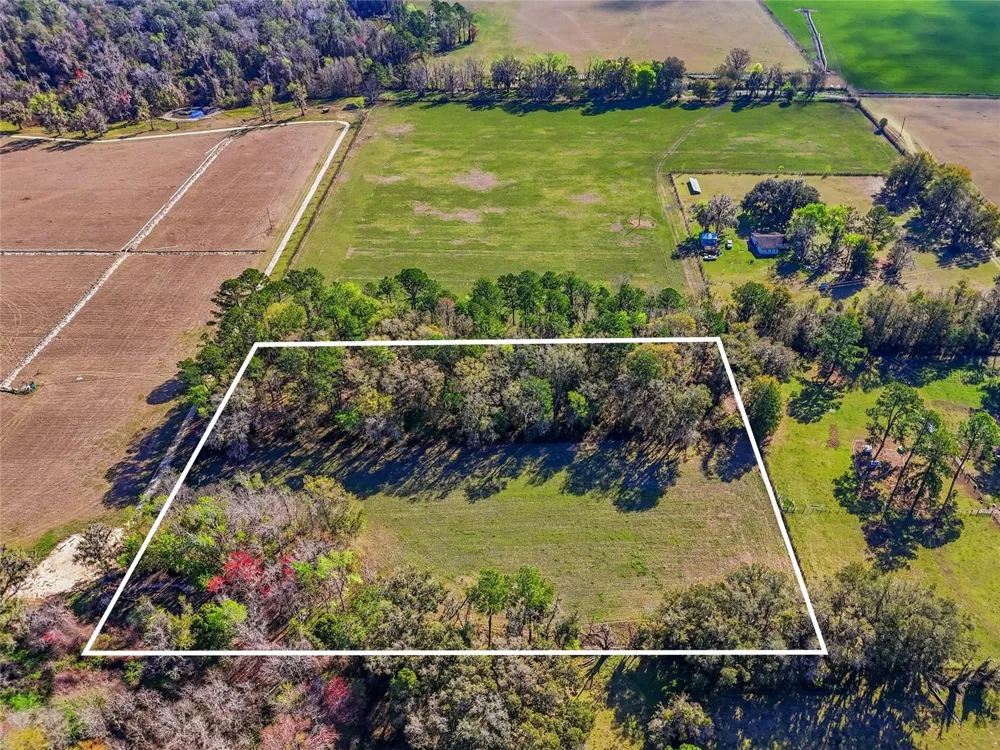 NW COUNTY RD 239 Alachua, FL 32615