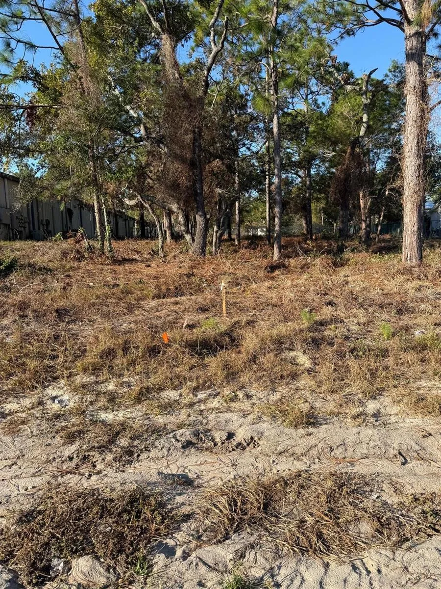 13786 LINDEN DRIVE Spring Hill, FL 34609