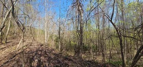 Timber Estates RD