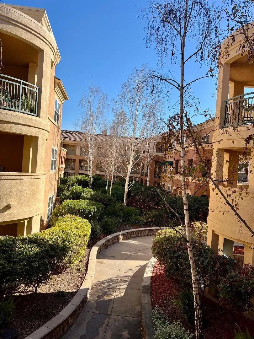 1310 Saddle Rack Street #347 San Jose, CA 95126