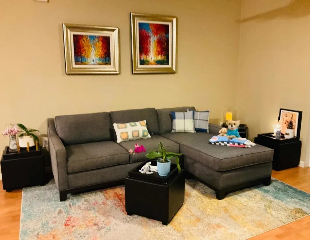 1310 Saddle Rack Street #347 San Jose, CA 95126