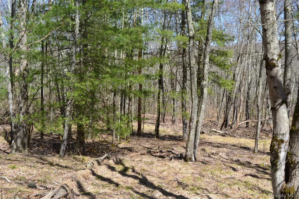 0 Garden House Road Liberty, NY 12747