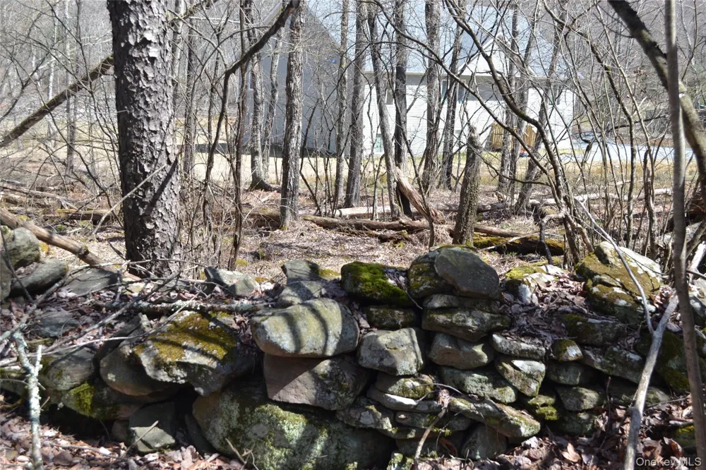 0 Garden House Road Liberty, NY 12747
