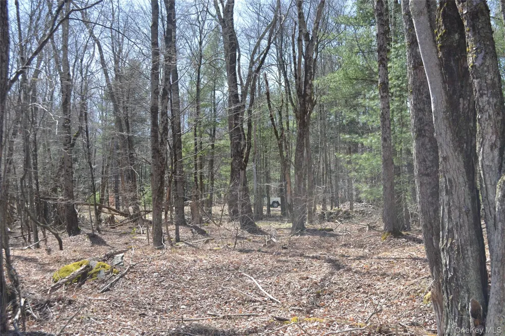 0 Garden House Road Liberty, NY 12747