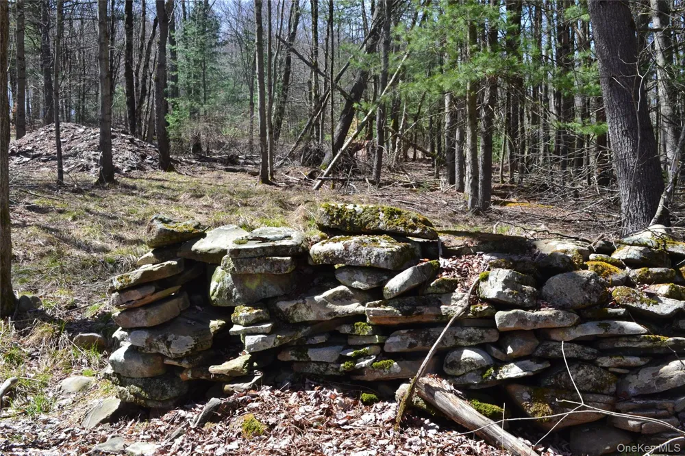 0 Garden House Road Liberty, NY 12747