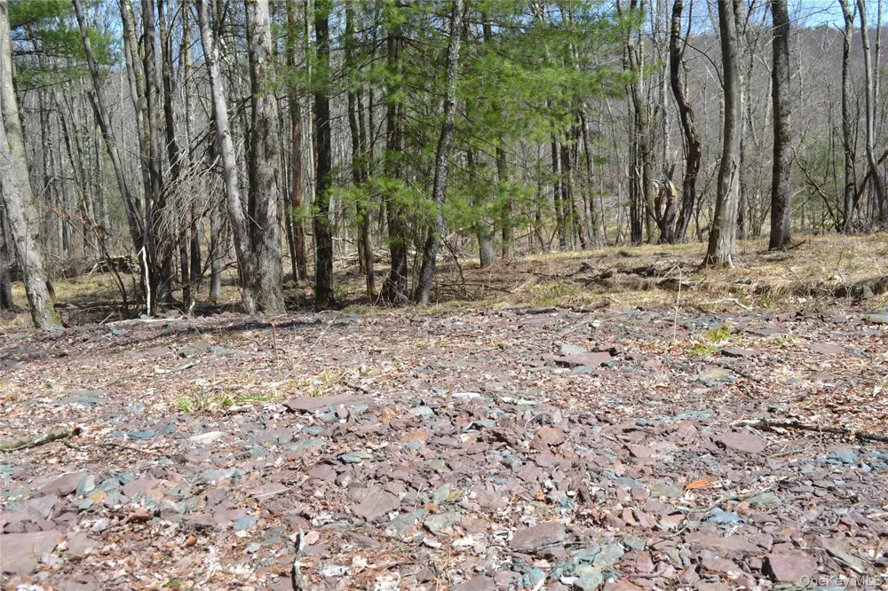 0 Garden House Road Liberty, NY 12747