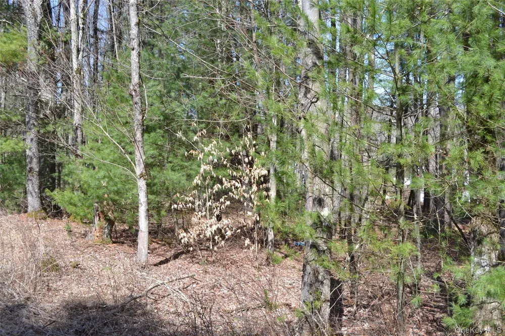0 Garden House Road Liberty, NY 12747