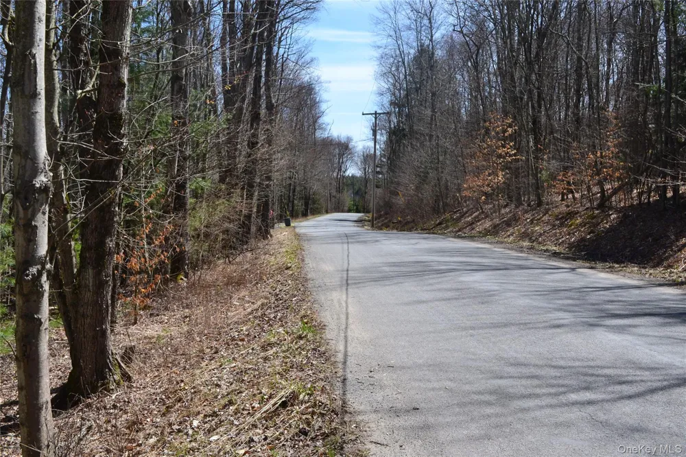 0 Garden House Road Liberty, NY 12747