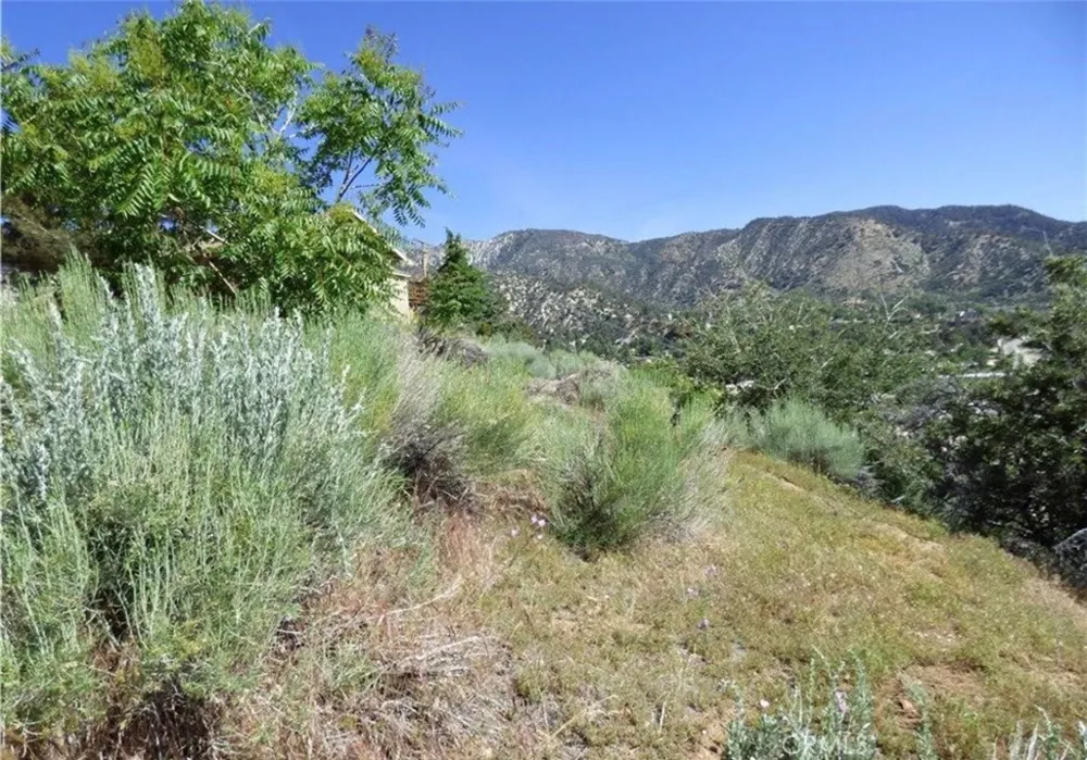 3408 Iowa Frazier Park, CA 93225