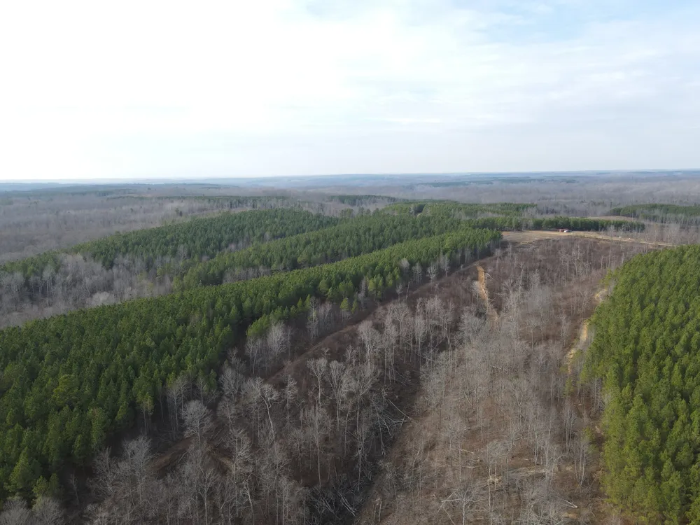 0 North Fork Stewart, TN 37175