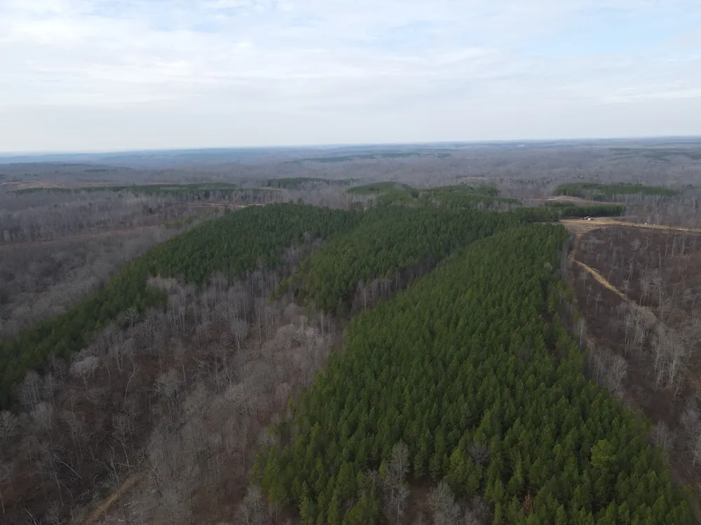 0 North Fork Stewart, TN 37175