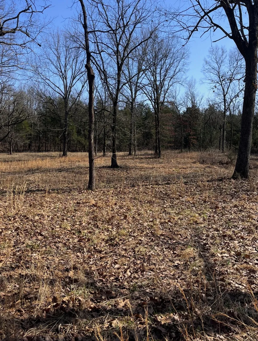 0 E Pitts Ln Murfreesboro, TN 37130