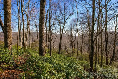 TBD Oak Ridge Road #17