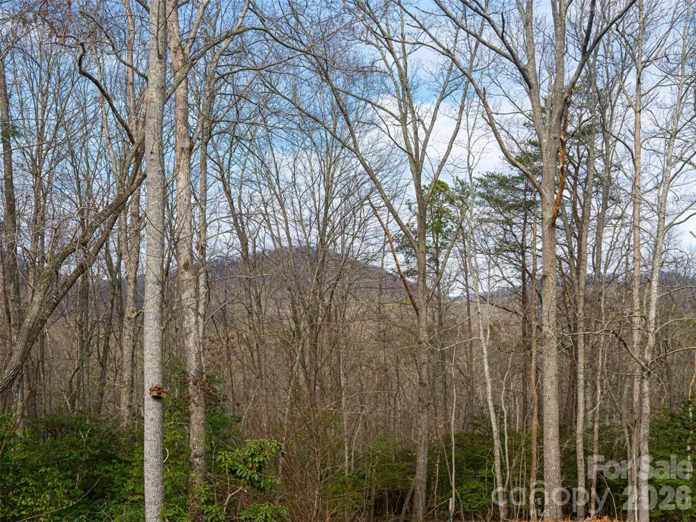508 Avery Creek Road Arden, NC 28704