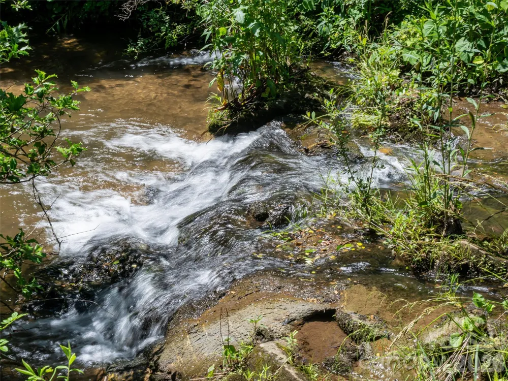508 Avery Creek Road Arden, NC 28704