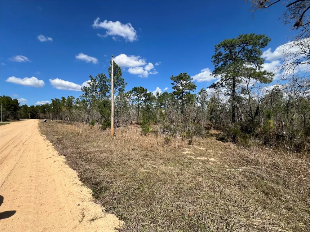 143 QUAIL WAY Hawthorne, FL 32640