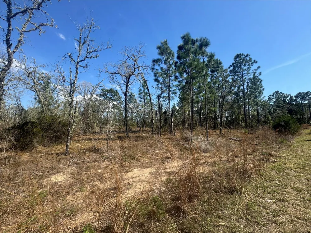 tbd NE 155TH AVENUE Williston, FL 32696