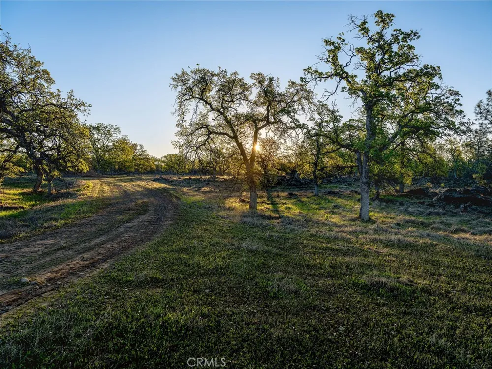 Grindstone Chico, CA 95973
