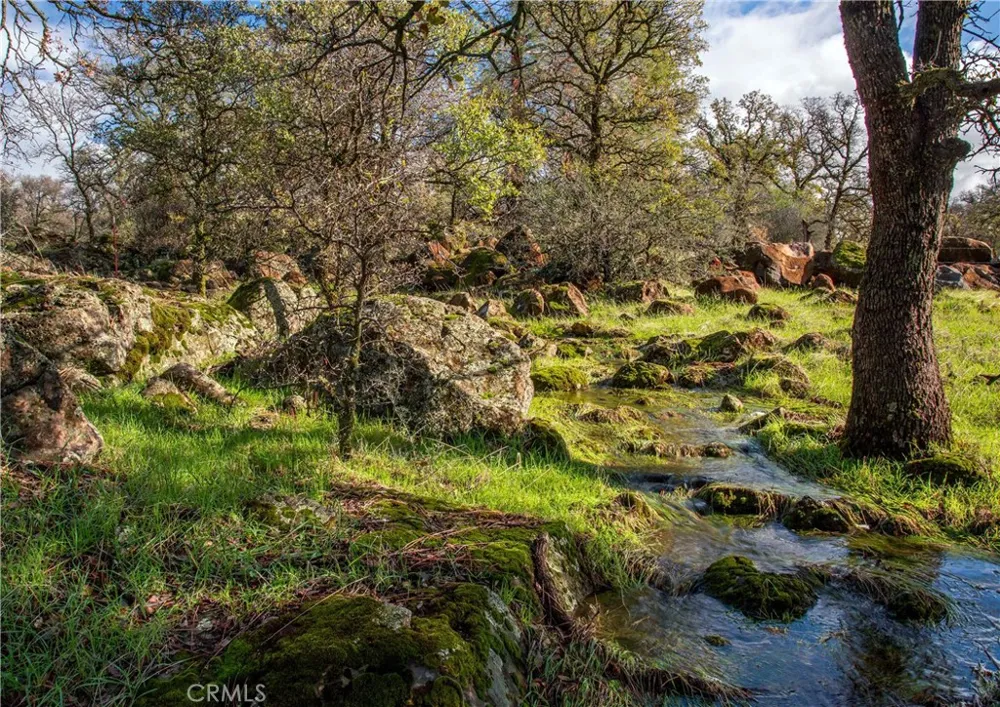 Grindstone Chico, CA 95973