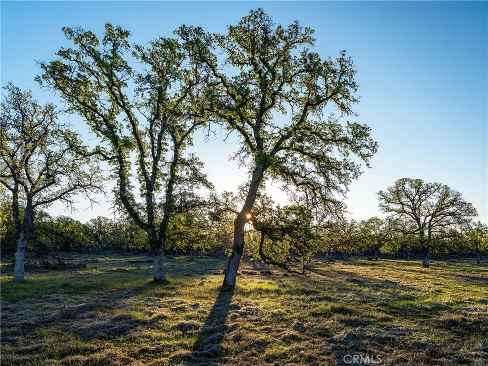 Grindstone Chico, CA 95973