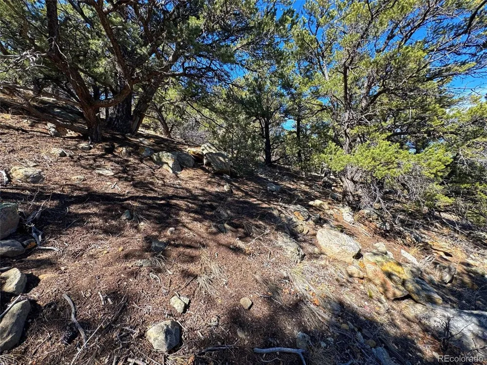 TBD Country Road 572 Gardner, CO 81030