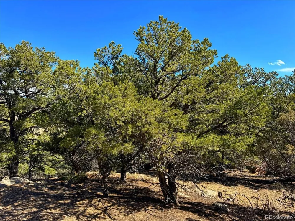 TBD Country Road 572 Gardner, CO 81030