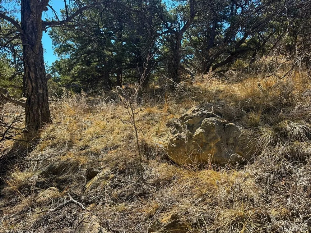 TBD Country Road 572 Gardner, CO 81030