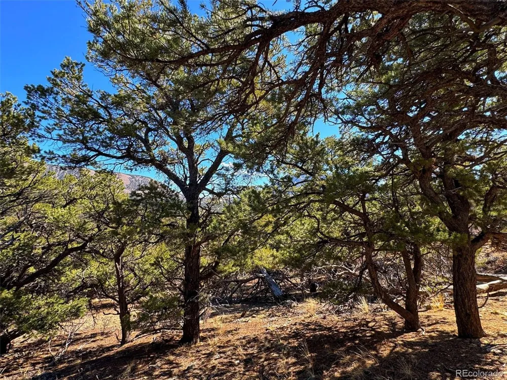 TBD Country Road 572 Gardner, CO 81030