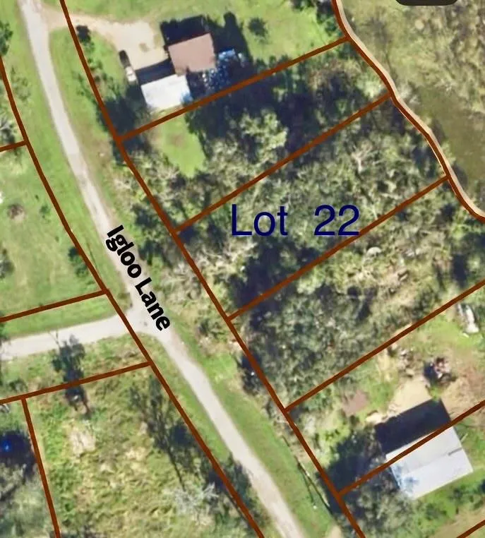 22 Igloo Lane Holiday Lakes, TX 77515