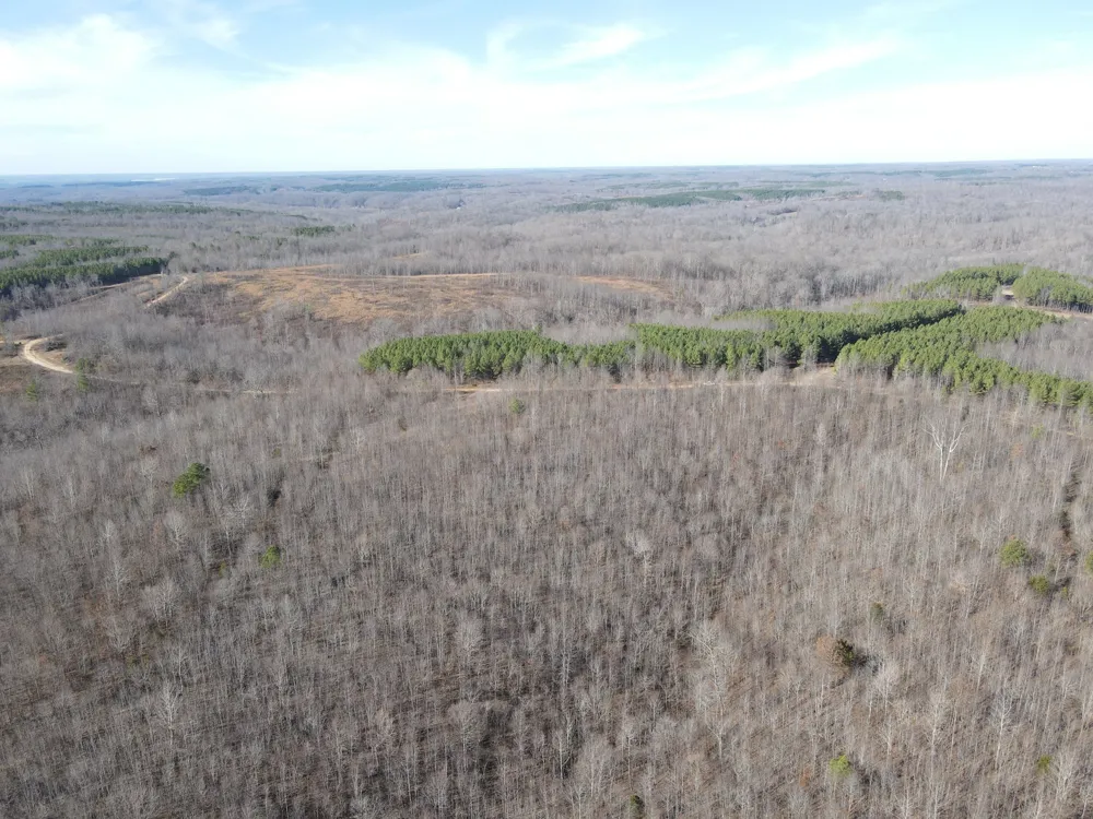 0 North Fork Stewart, TN 37175