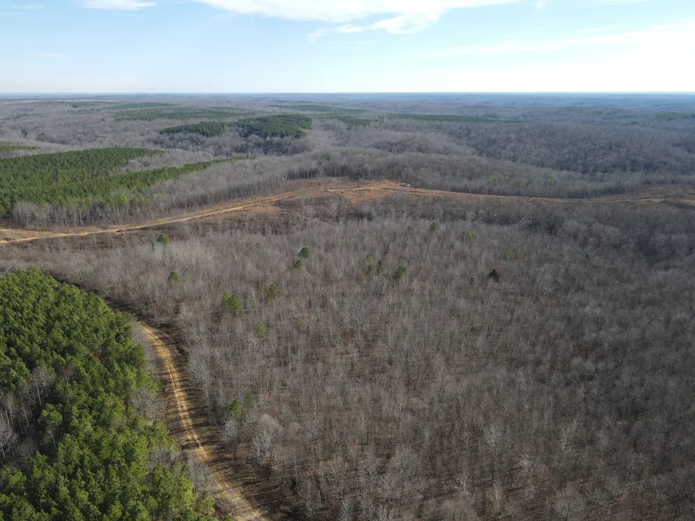 0 North Fork Stewart, TN 37175
