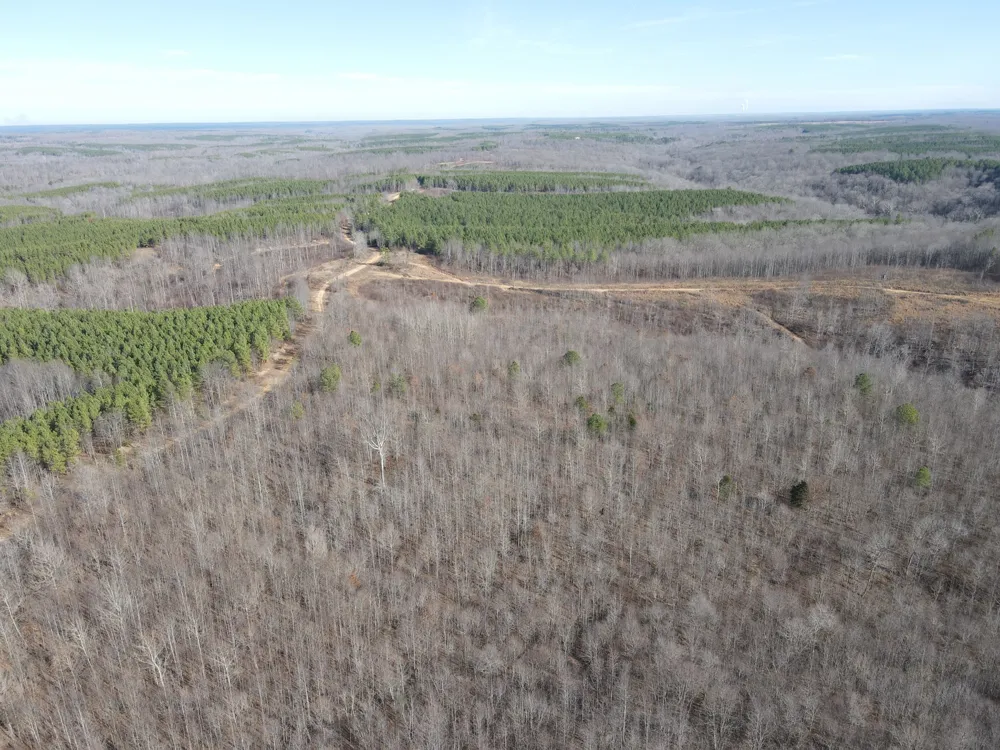 0 North Fork Stewart, TN 37175