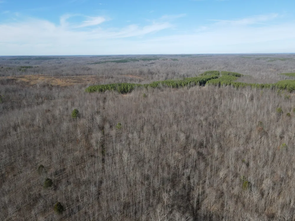 0 North Fork Stewart, TN 37175