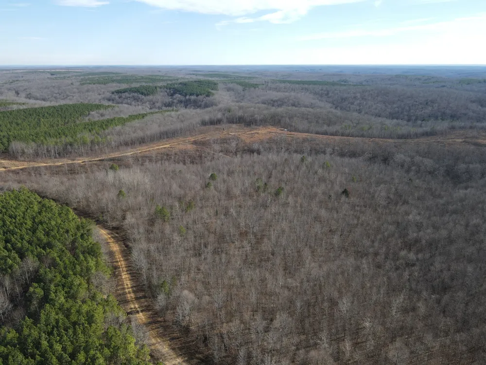 0 North Fork Stewart, TN 37175