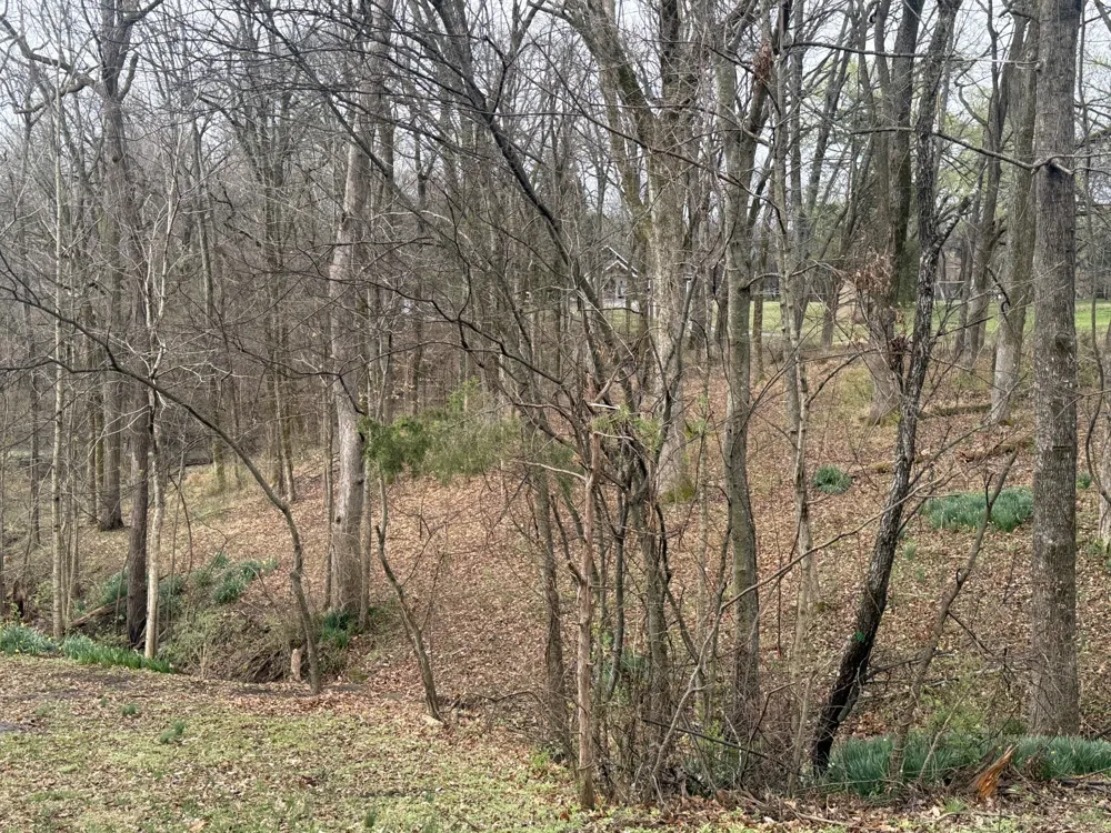 1930 Arlington Rd Lebanon, TN 37087