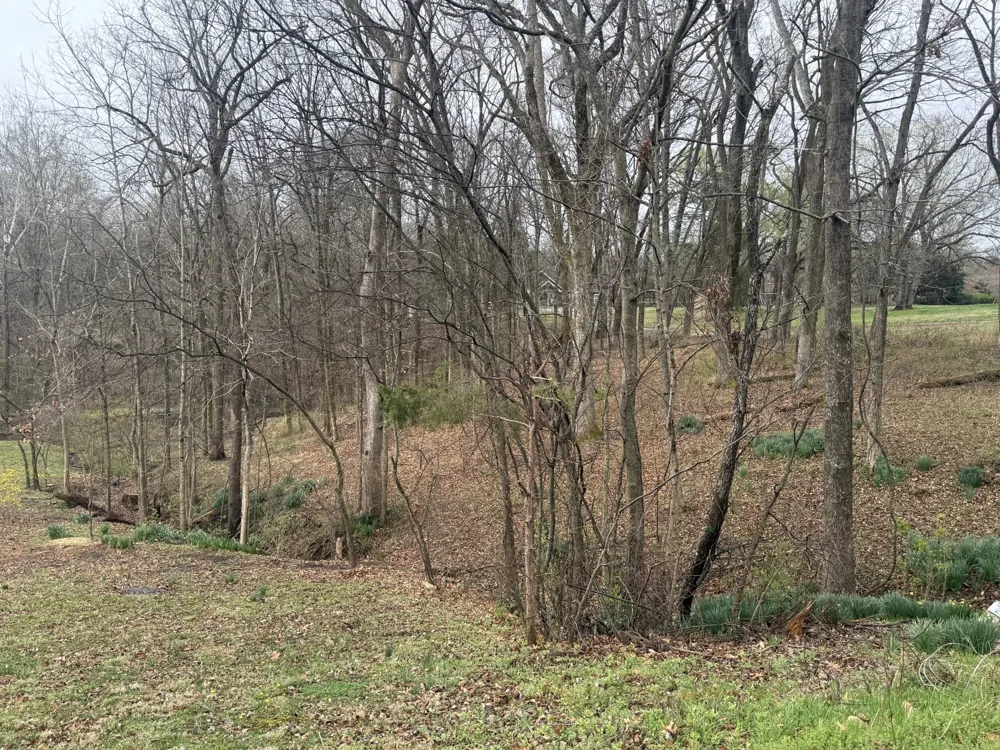 1930 Arlington Rd Lebanon, TN 37087