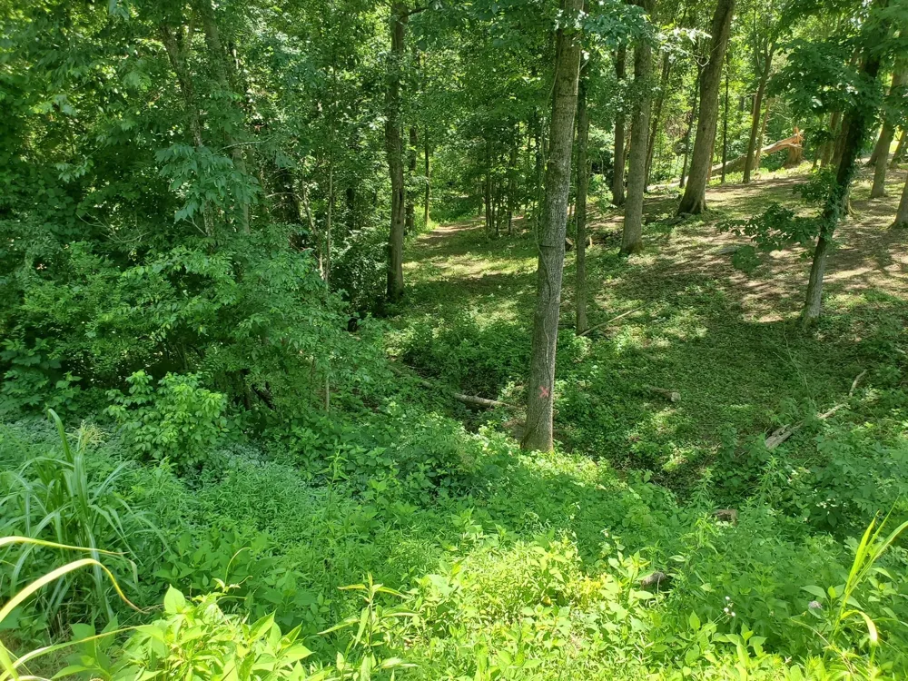1930 Arlington Rd Lebanon, TN 37087