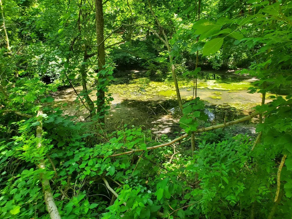 1930 Arlington Rd Lebanon, TN 37087