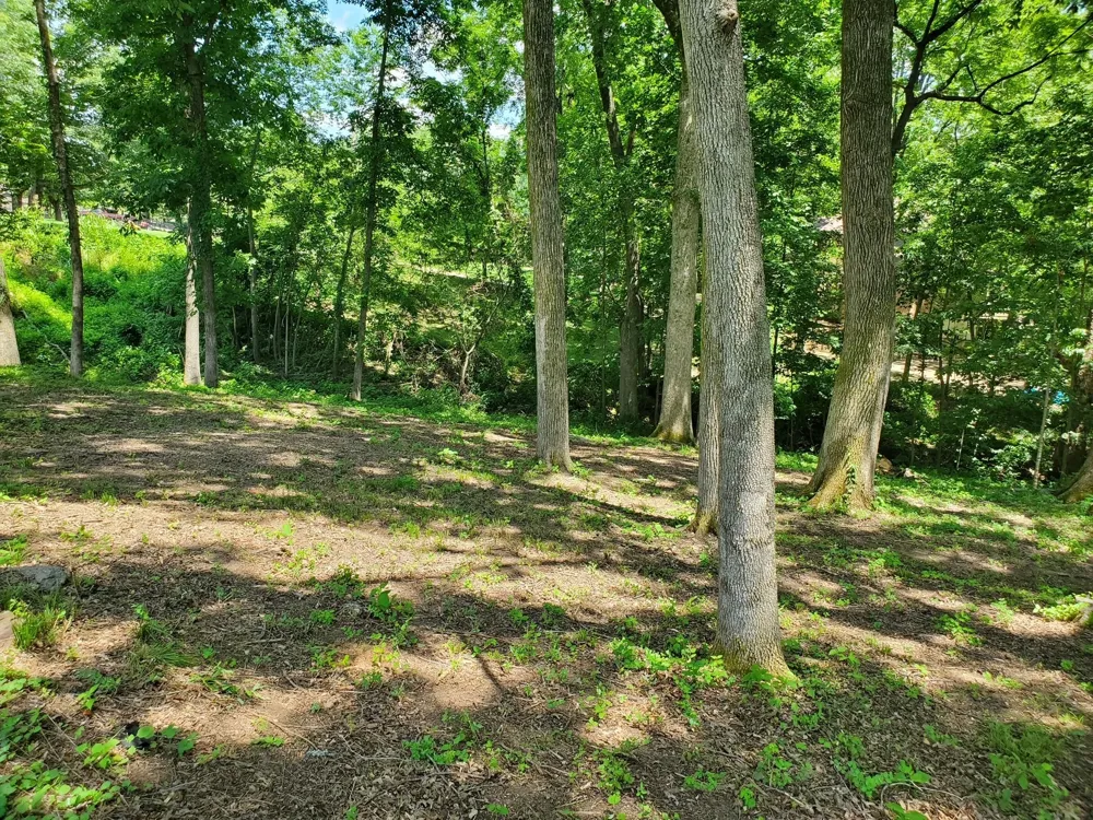 1930 Arlington Rd Lebanon, TN 37087